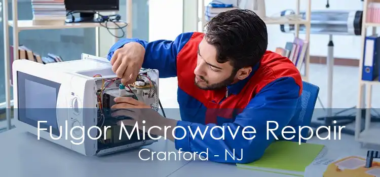 Fulgor Microwave Repair Cranford - NJ
