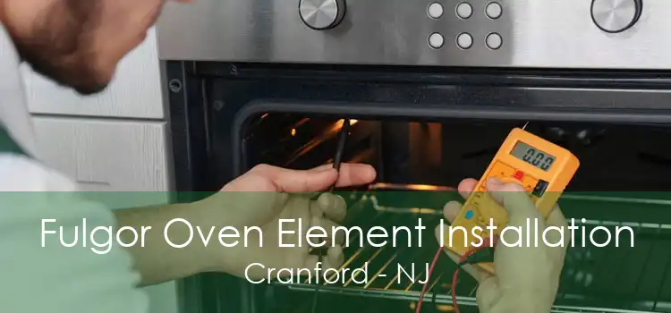 Fulgor Oven Element Installation Cranford - NJ