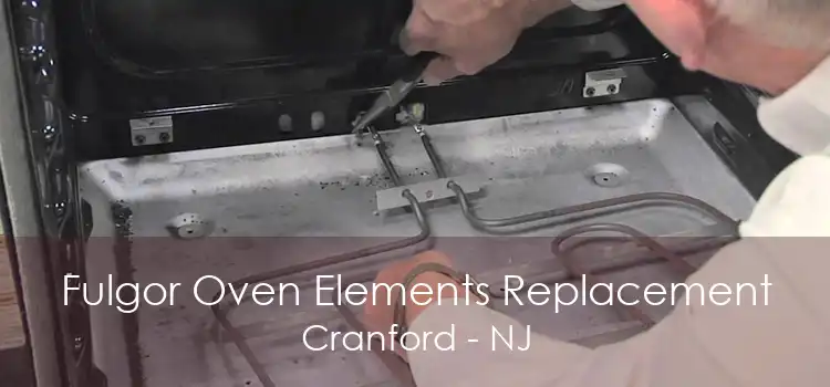 Fulgor Oven Elements Replacement Cranford - NJ
