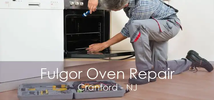 Fulgor Oven Repair Cranford - NJ
