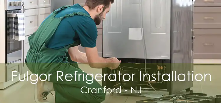 Fulgor Refrigerator Installation Cranford - NJ