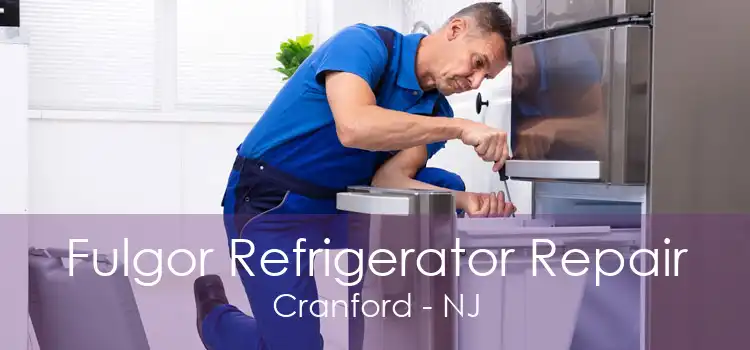 Fulgor Refrigerator Repair Cranford - NJ