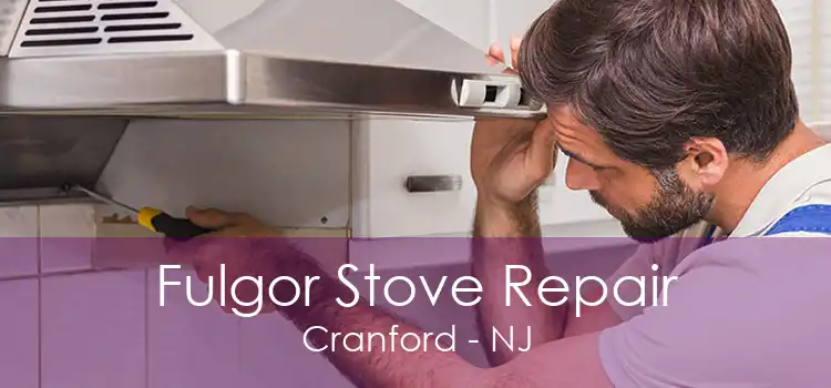 Fulgor Stove Repair Cranford - NJ