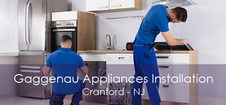 Gaggenau Appliances Installation Cranford - NJ