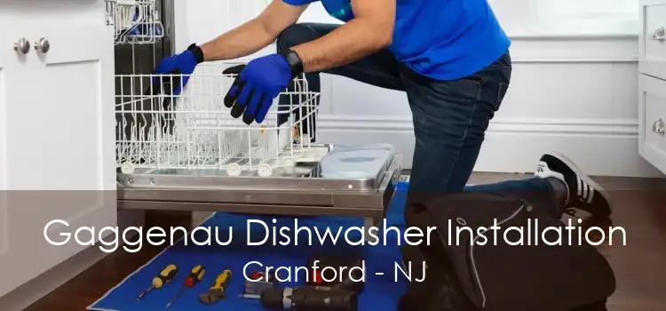 Gaggenau Dishwasher Installation Cranford - NJ