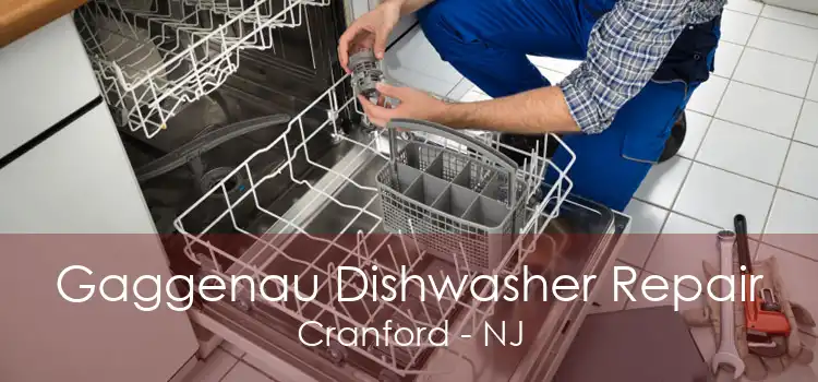 Gaggenau Dishwasher Repair Cranford - NJ