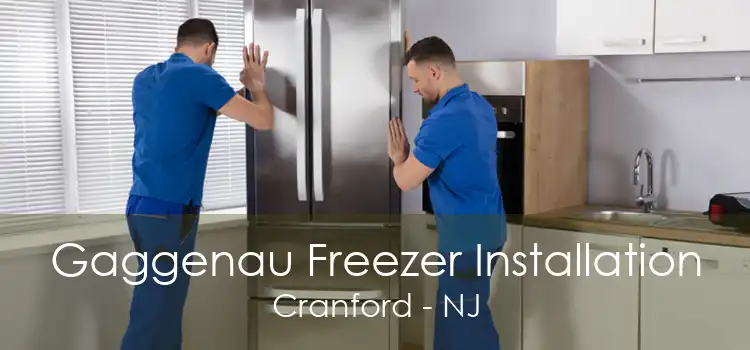 Gaggenau Freezer Installation Cranford - NJ