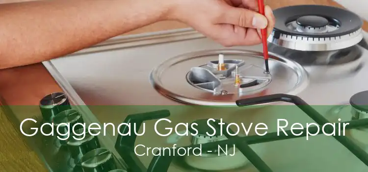 Gaggenau Gas Stove Repair Cranford - NJ