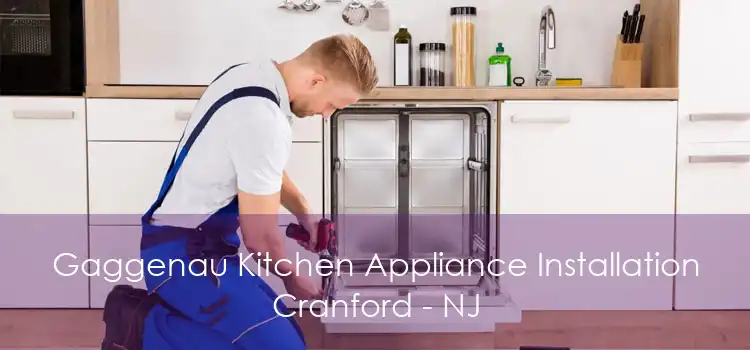 Gaggenau Kitchen Appliance Installation Cranford - NJ