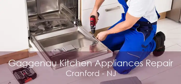Gaggenau Kitchen Appliances Repair Cranford - NJ