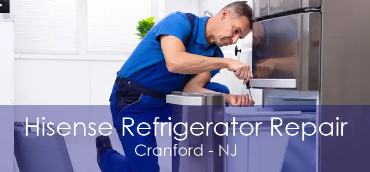 Hisense Refrigerator Repair Cranford - NJ