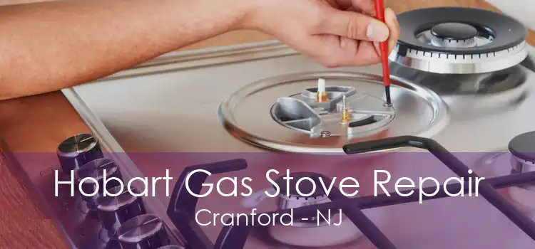 Hobart Gas Stove Repair Cranford - NJ