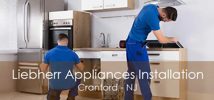 Liebherr Appliances Installation Cranford - NJ