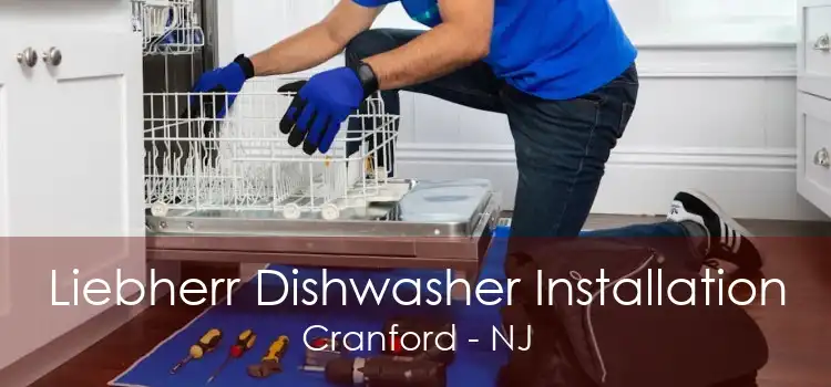 Liebherr Dishwasher Installation Cranford - NJ