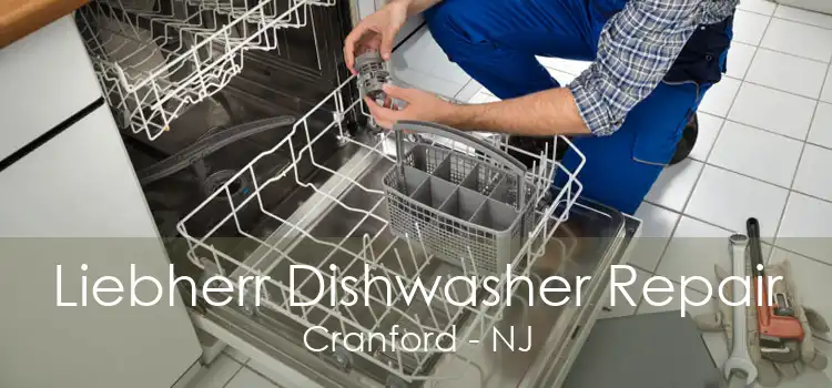 Liebherr Dishwasher Repair Cranford - NJ
