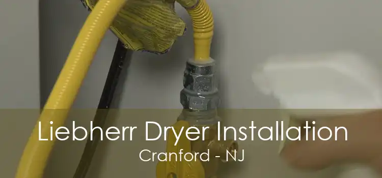 Liebherr Dryer Installation Cranford - NJ