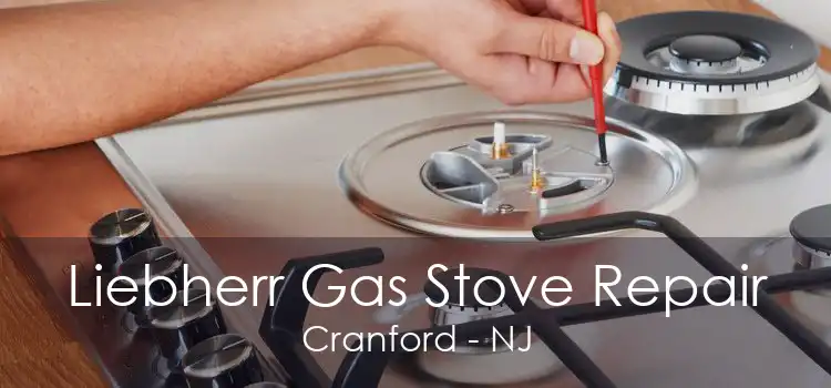 Liebherr Gas Stove Repair Cranford - NJ