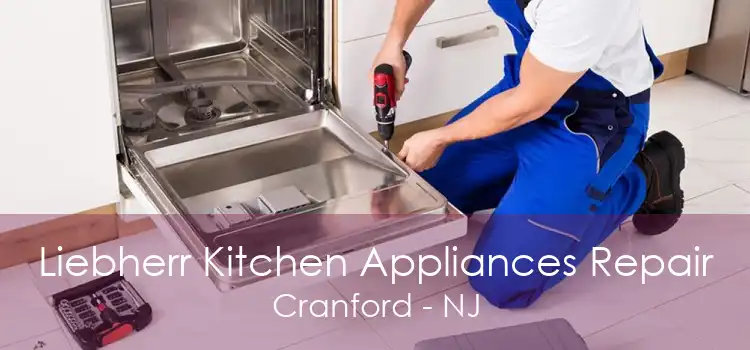 Liebherr Kitchen Appliances Repair Cranford - NJ