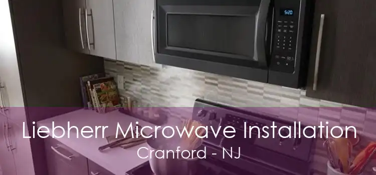 Liebherr Microwave Installation Cranford - NJ