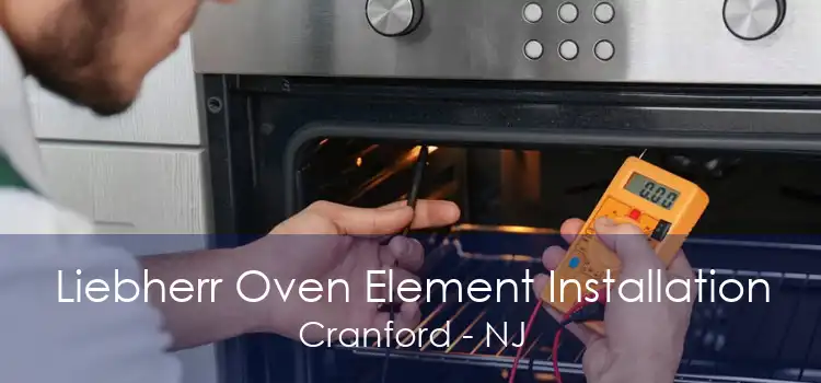 Liebherr Oven Element Installation Cranford - NJ