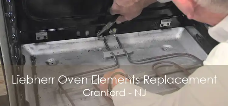 Liebherr Oven Elements Replacement Cranford - NJ