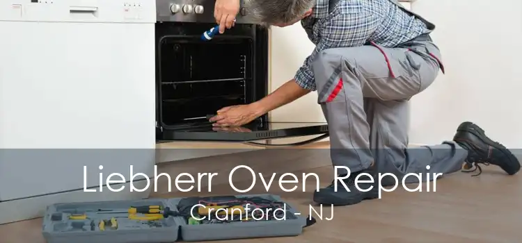 Liebherr Oven Repair Cranford - NJ