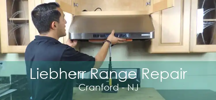 Liebherr Range Repair Cranford - NJ