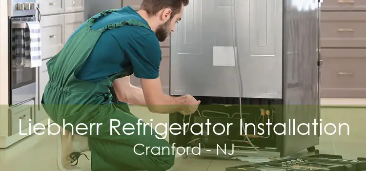 Liebherr Refrigerator Installation Cranford - NJ