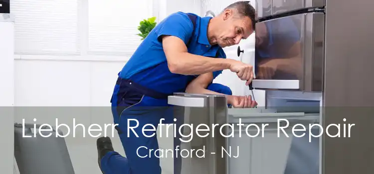 Liebherr Refrigerator Repair Cranford - NJ