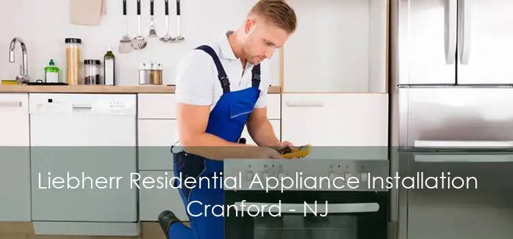 Liebherr Residential Appliance Installation Cranford - NJ