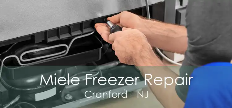 Miele Freezer Repair Cranford - NJ