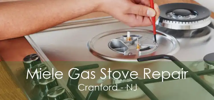 Miele Gas Stove Repair Cranford - NJ