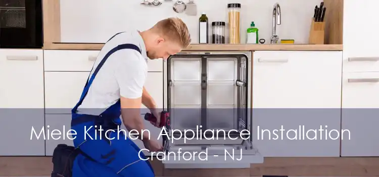 Miele Kitchen Appliance Installation Cranford - NJ