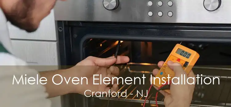 Miele Oven Element Installation Cranford - NJ