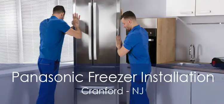 Panasonic Freezer Installation Cranford - NJ
