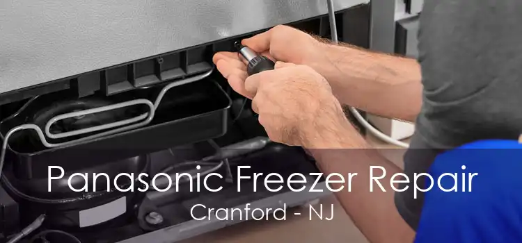 Panasonic Freezer Repair Cranford - NJ
