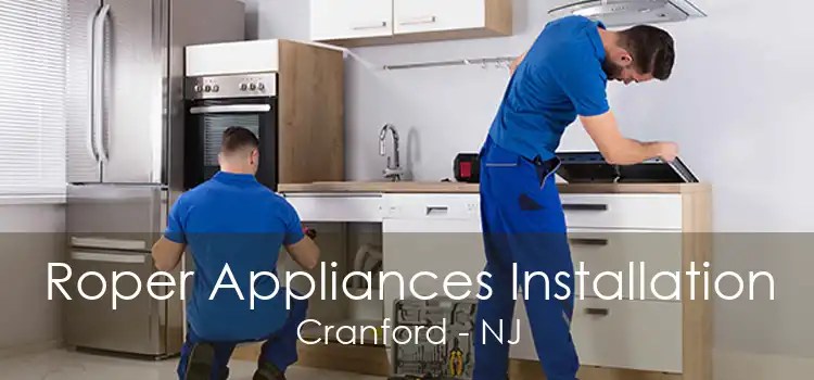 Roper Appliances Installation Cranford - NJ