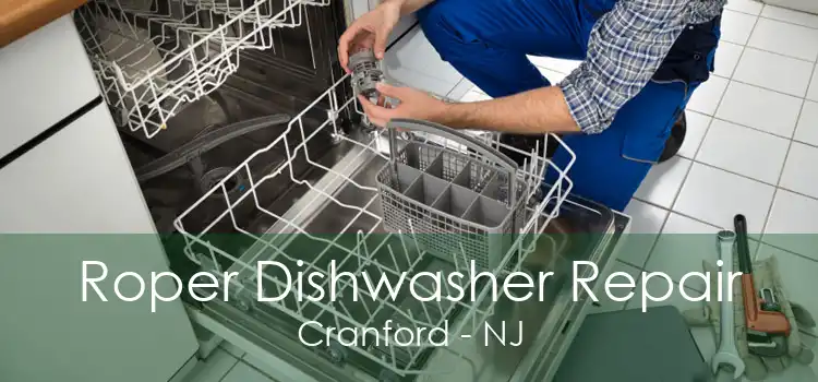 Roper Dishwasher Repair Cranford - NJ