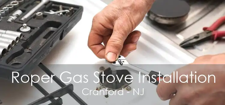 Roper Gas Stove Installation Cranford - NJ