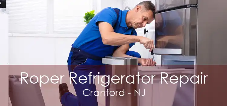 Roper Refrigerator Repair Cranford - NJ