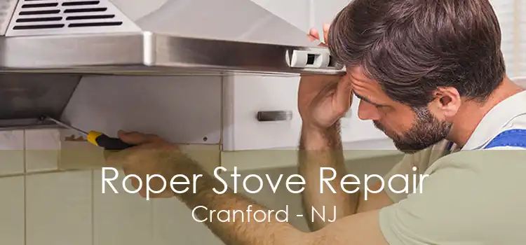 Roper Stove Repair Cranford - NJ