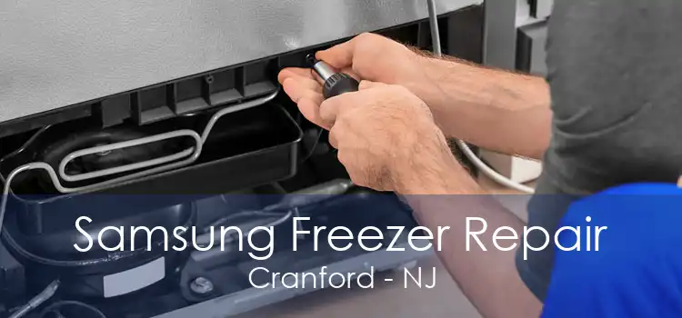 Samsung Freezer Repair Cranford - NJ