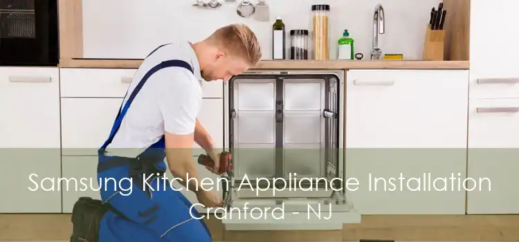 Samsung Kitchen Appliance Installation Cranford - NJ