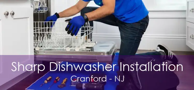 Sharp Dishwasher Installation Cranford - NJ