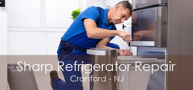 Sharp Refrigerator Repair Cranford - NJ