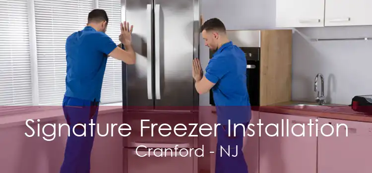 Signature Freezer Installation Cranford - NJ