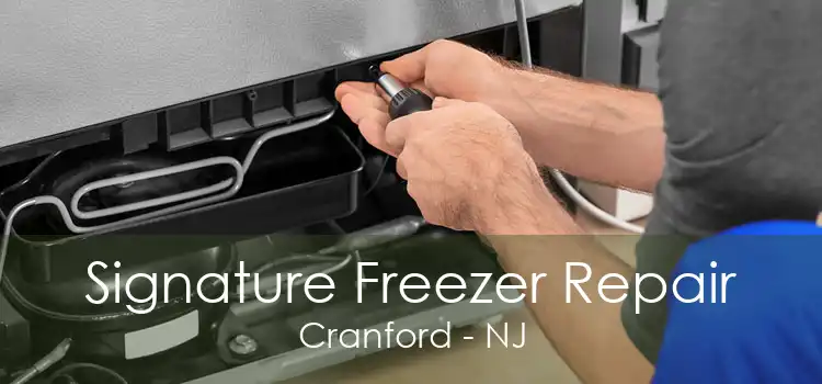 Signature Freezer Repair Cranford - NJ
