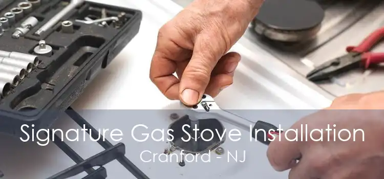 Signature Gas Stove Installation Cranford - NJ