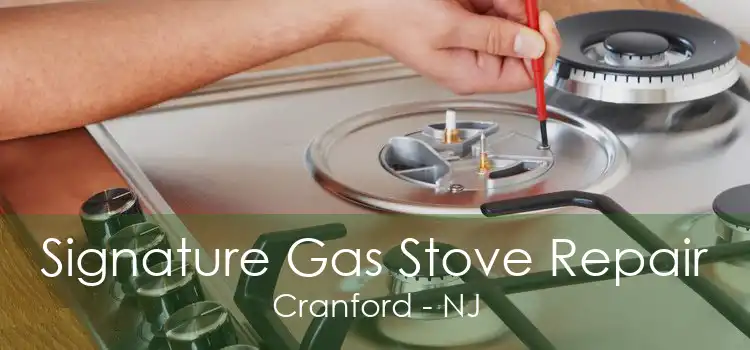 Signature Gas Stove Repair Cranford - NJ