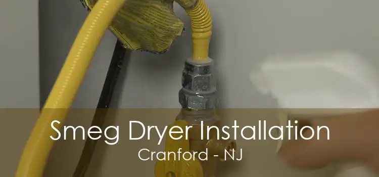 Smeg Dryer Installation Cranford - NJ